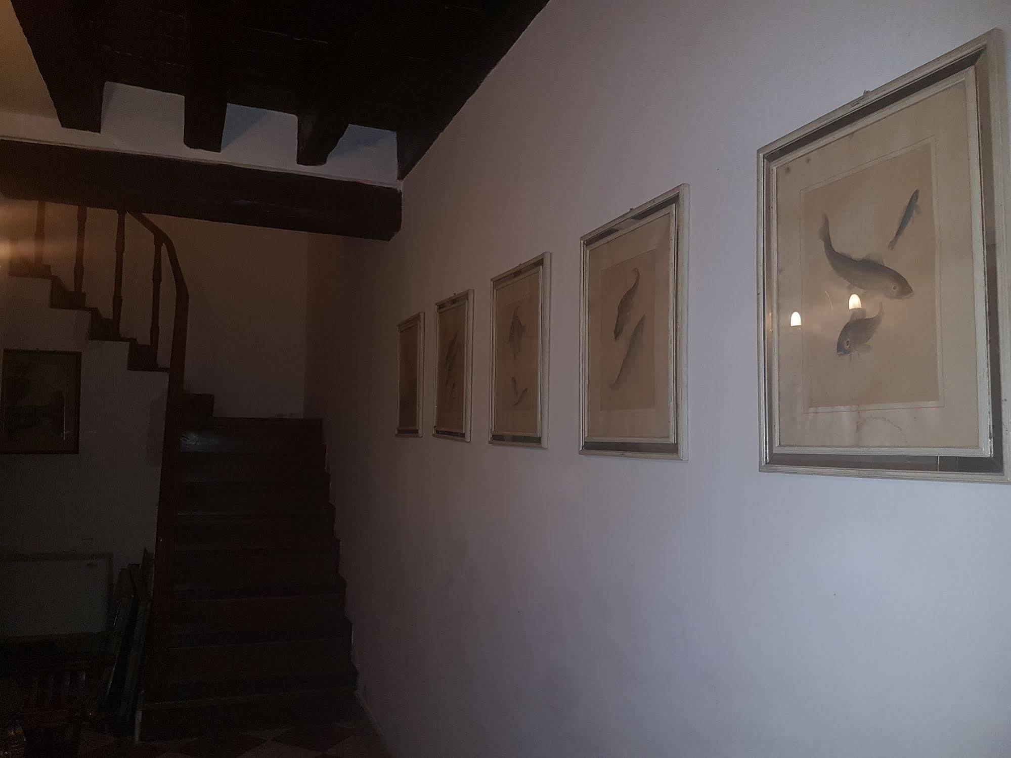 Pensión Casa Arte